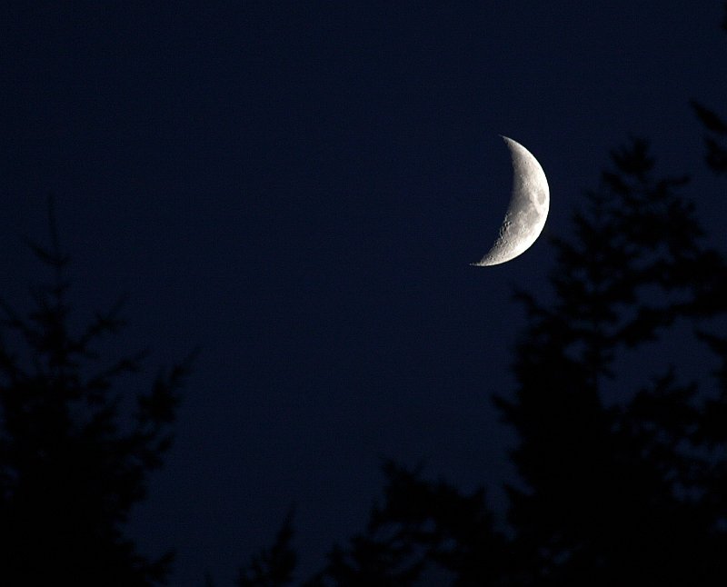 The Moon