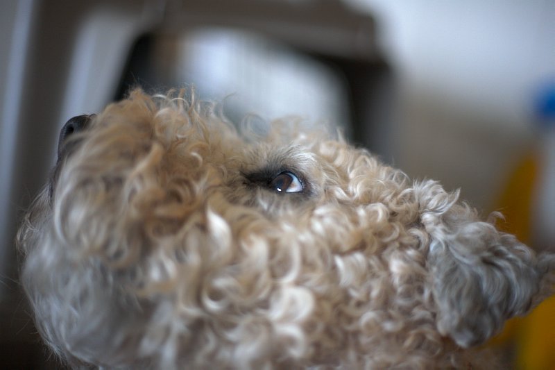 Dear God,  please give me a yummy treat.