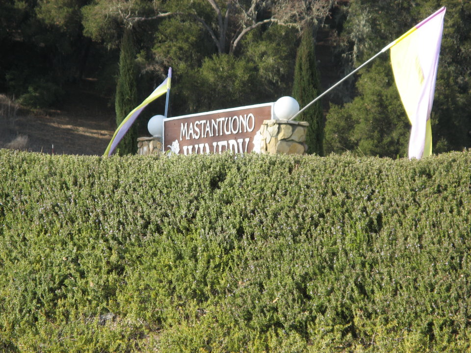 Paso Robles, poor winery  122406_0008.JPG
