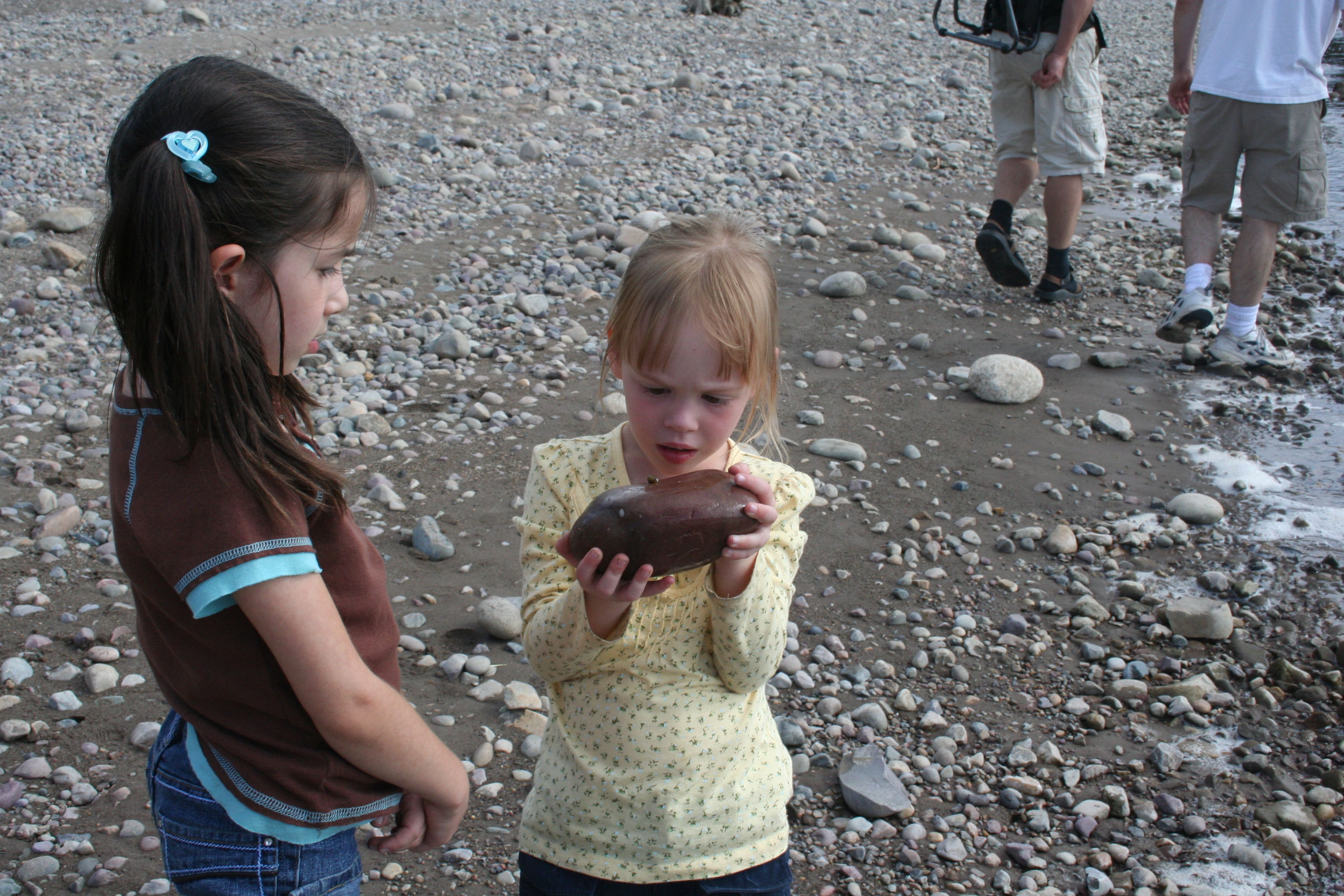 Looking for snails