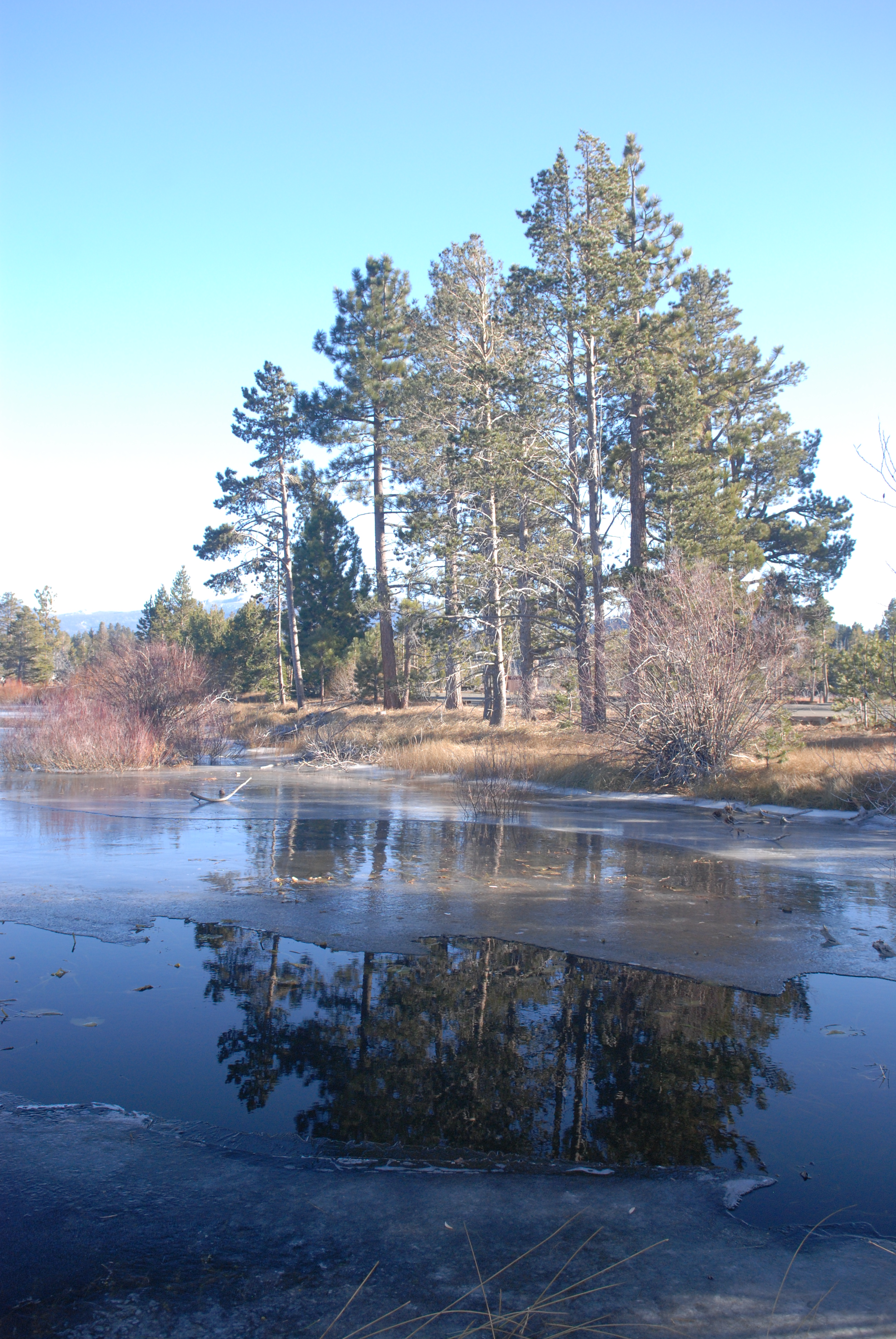 DSC_0045.JPG