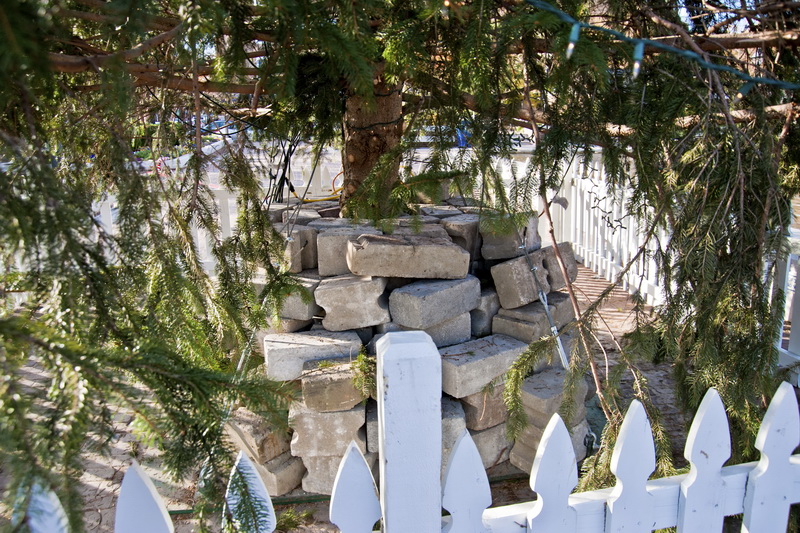 The tree base certainly looks solid enough to be standing through the holidays.