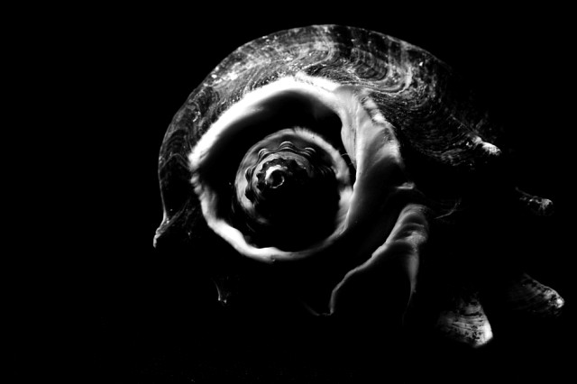 Shell 3
