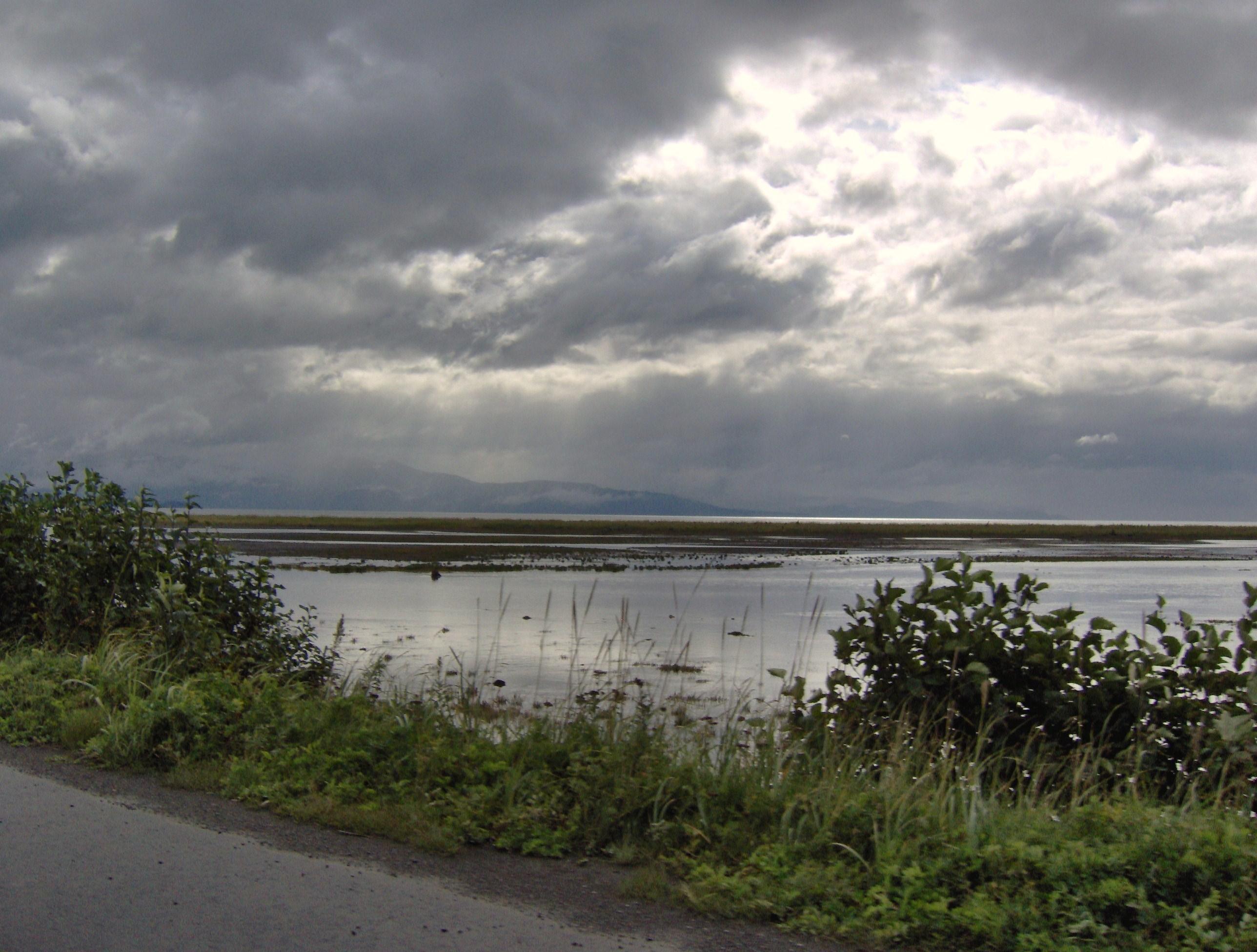Homer, Alaska