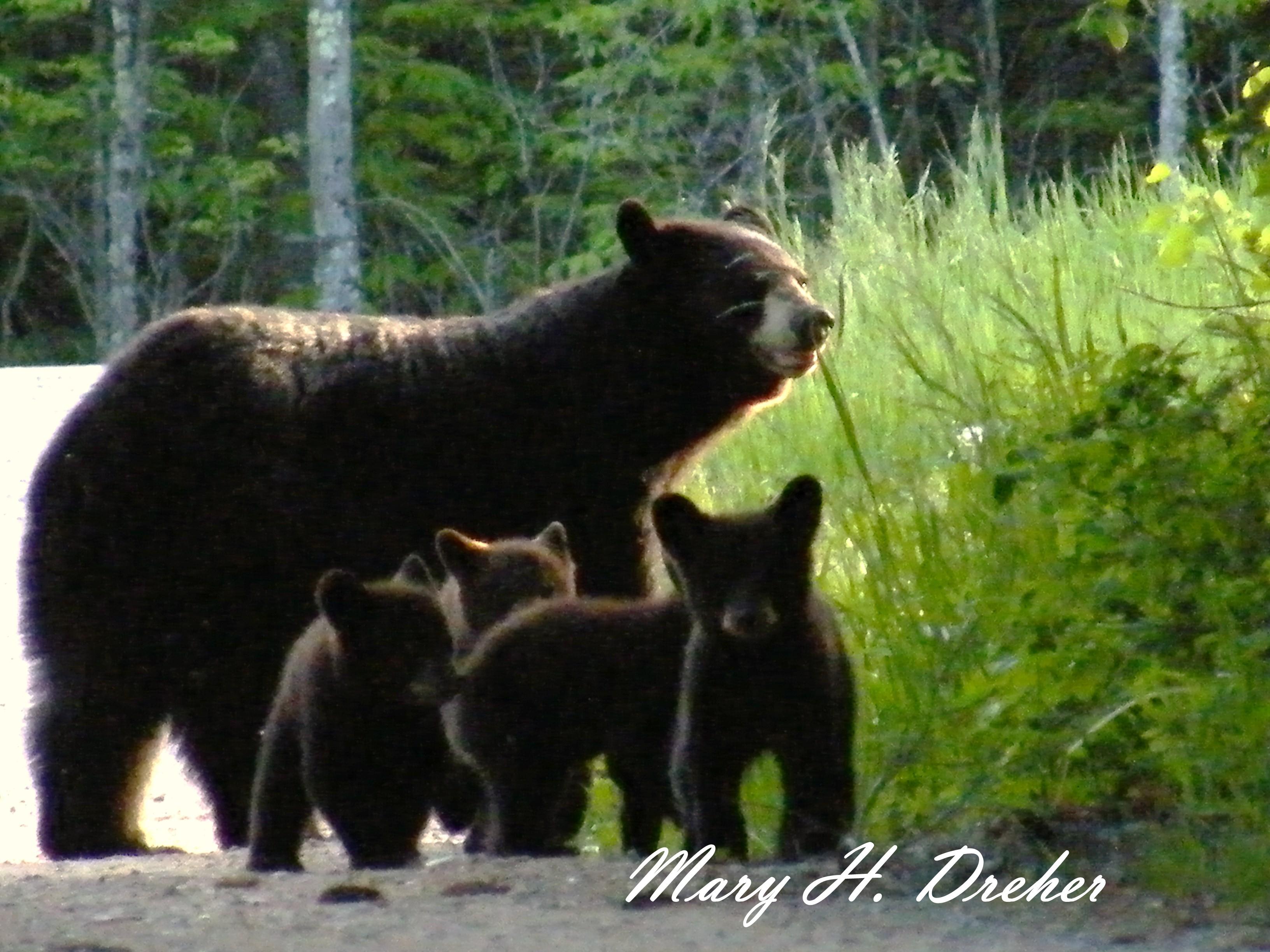 Mom and the kids