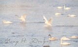 A cold landing