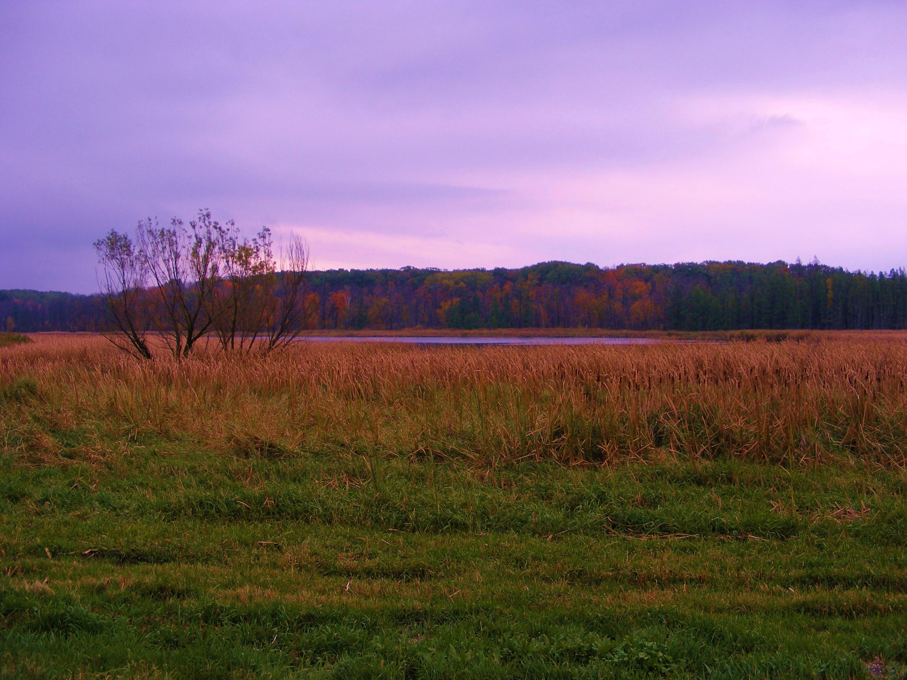 Fall Colors