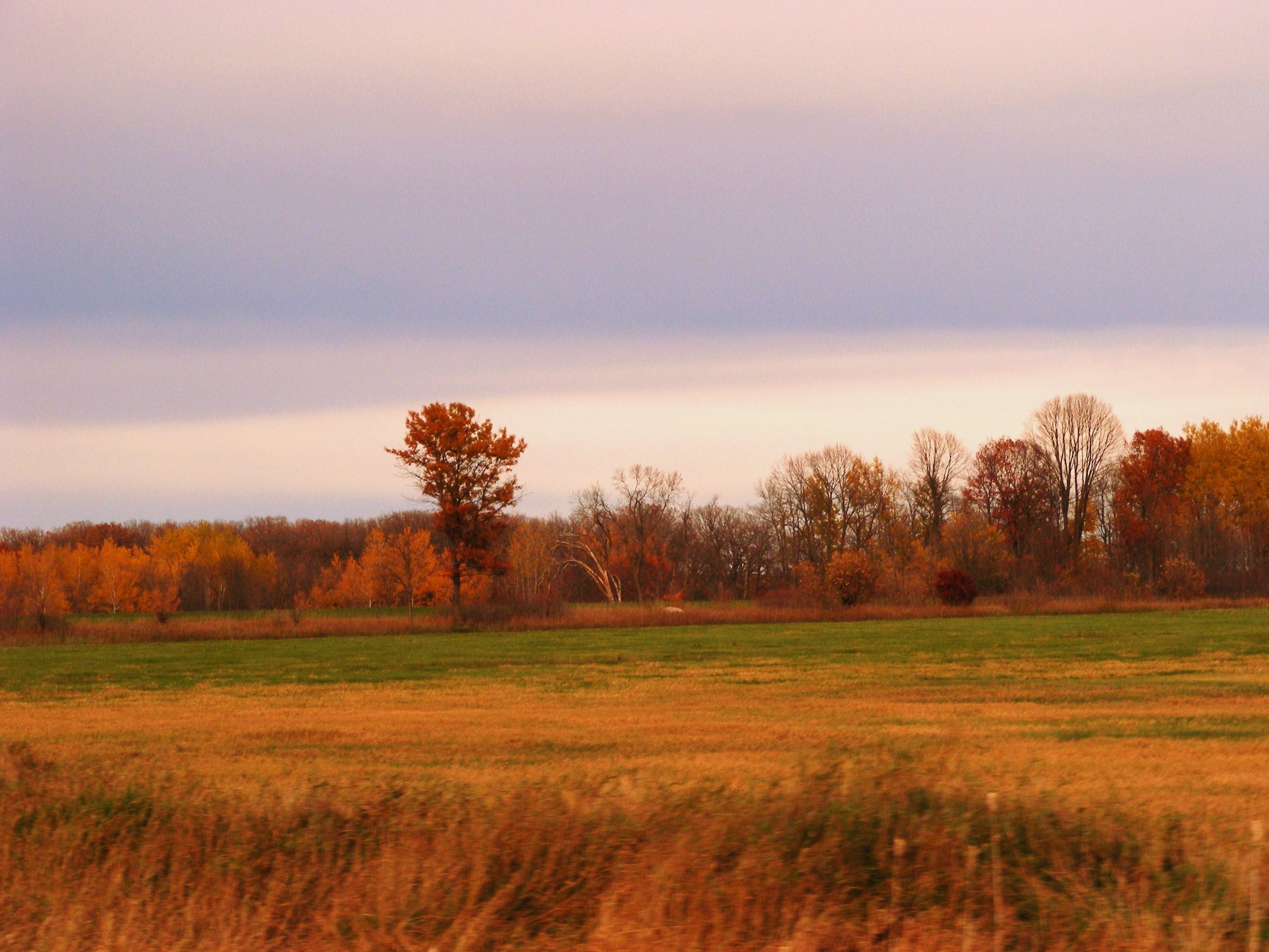 Fall Colors