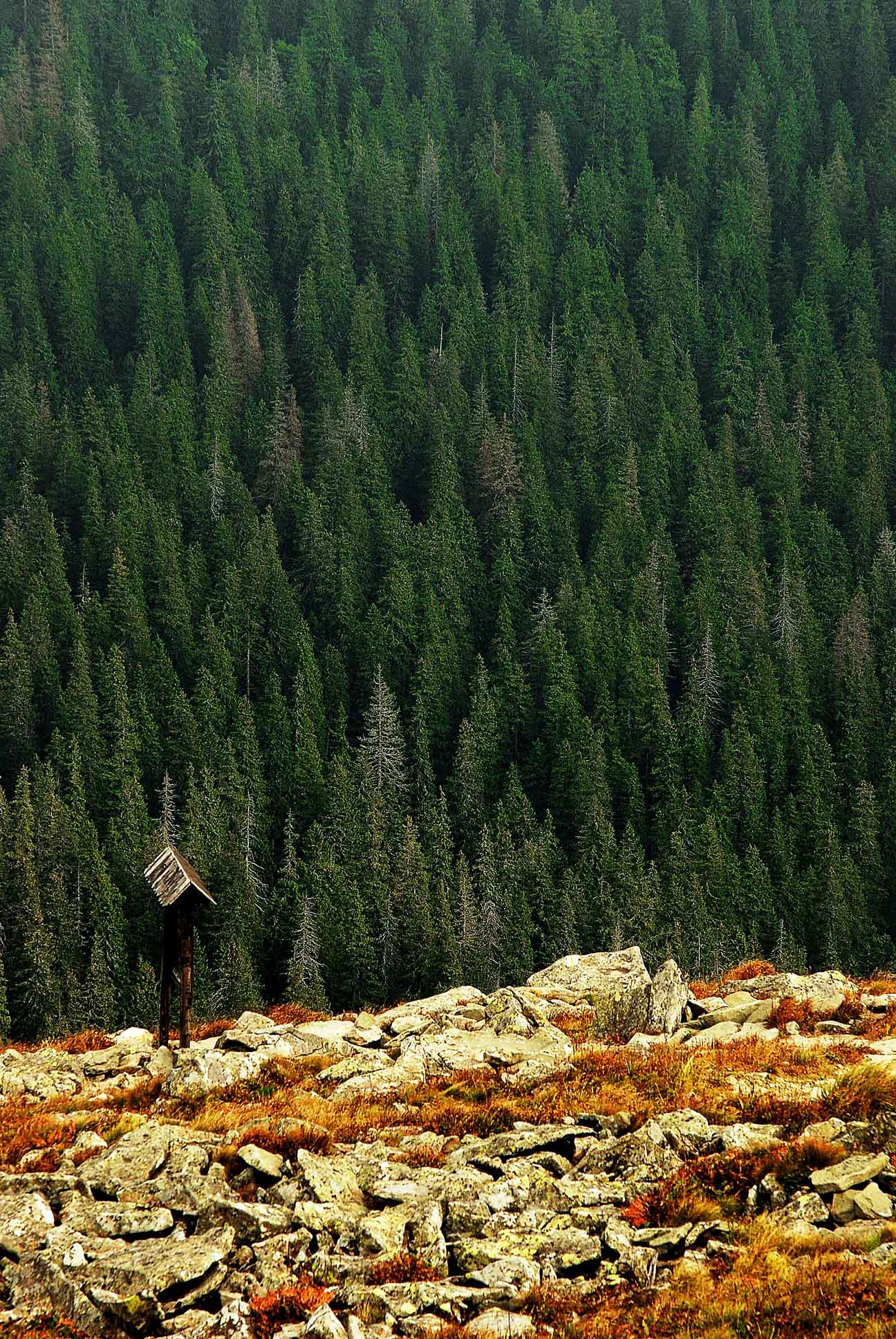 Old Wives or Witches Mountain12.jpg