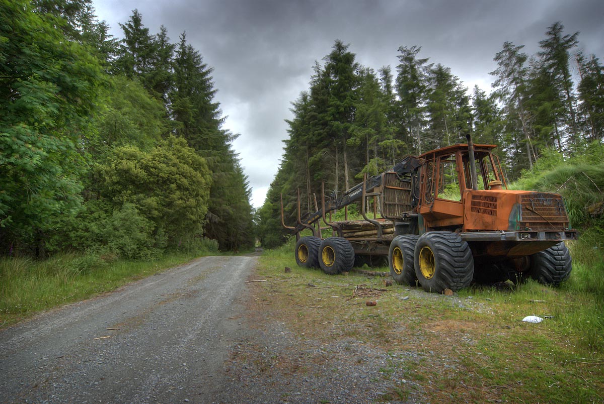 Cloonnacartan Forest