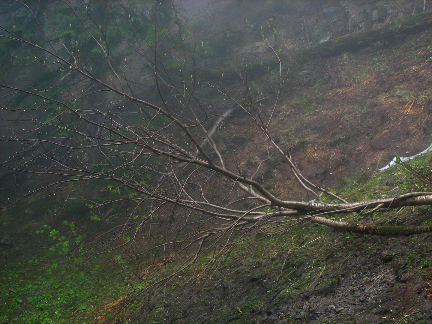 Old Wives or Witches Mountain02.jpg