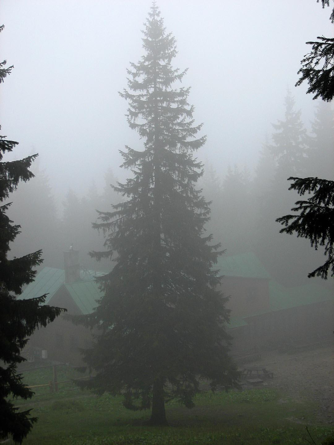 Old Wives or Witches Mountain04.jpg