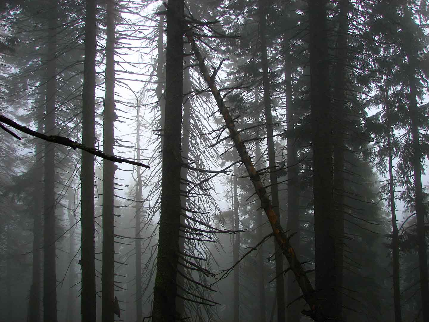 Old Wives or Witches Mountain06.jpg