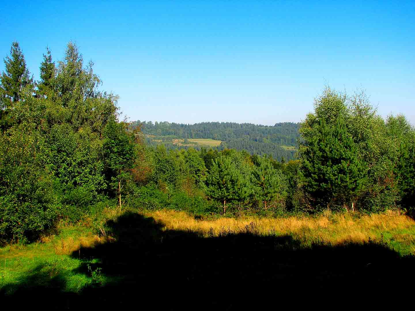 Green Trail Sucha B.-Leskowiec