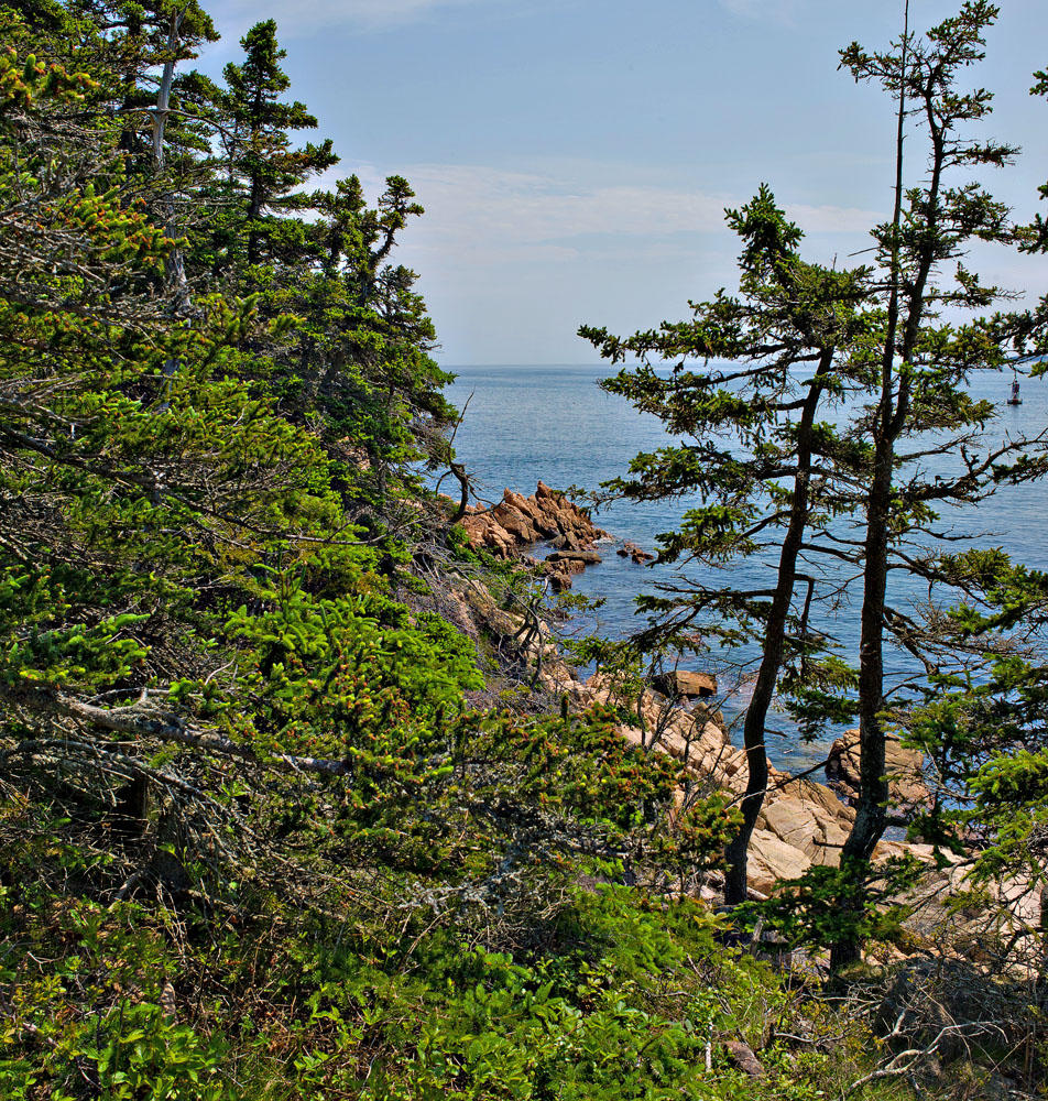 Maine Coastline