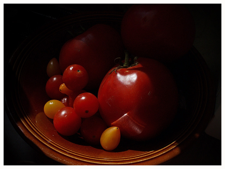 abundance.jpg