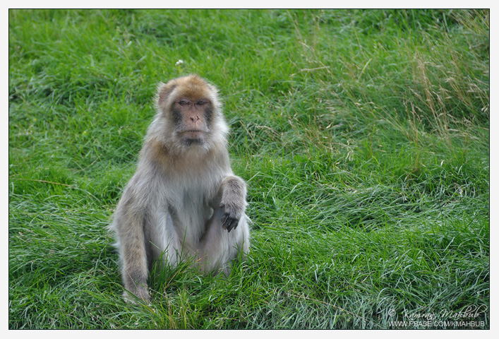 DSC_7229 bs.jpg