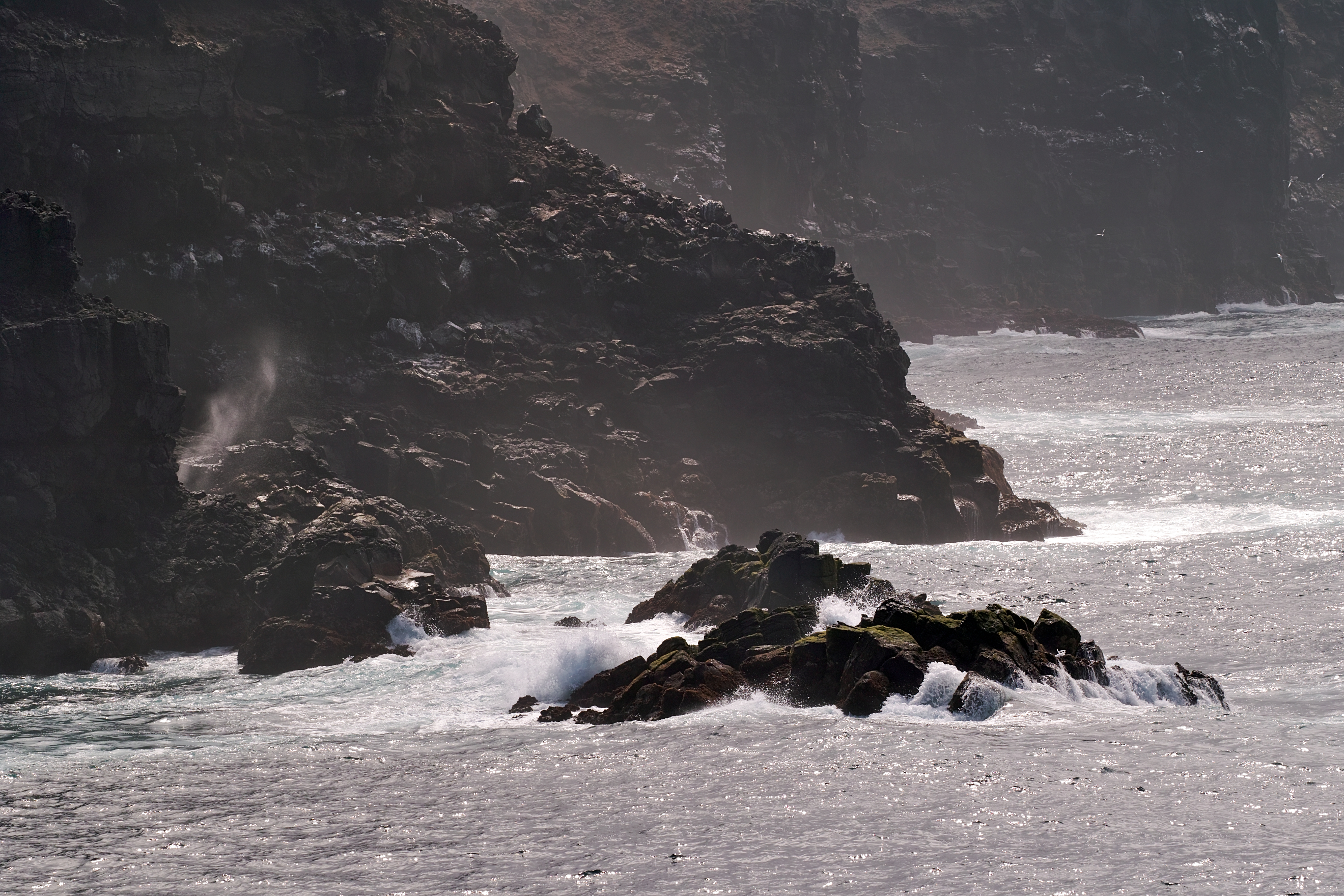 Galapagos-SDIM0622.jpg