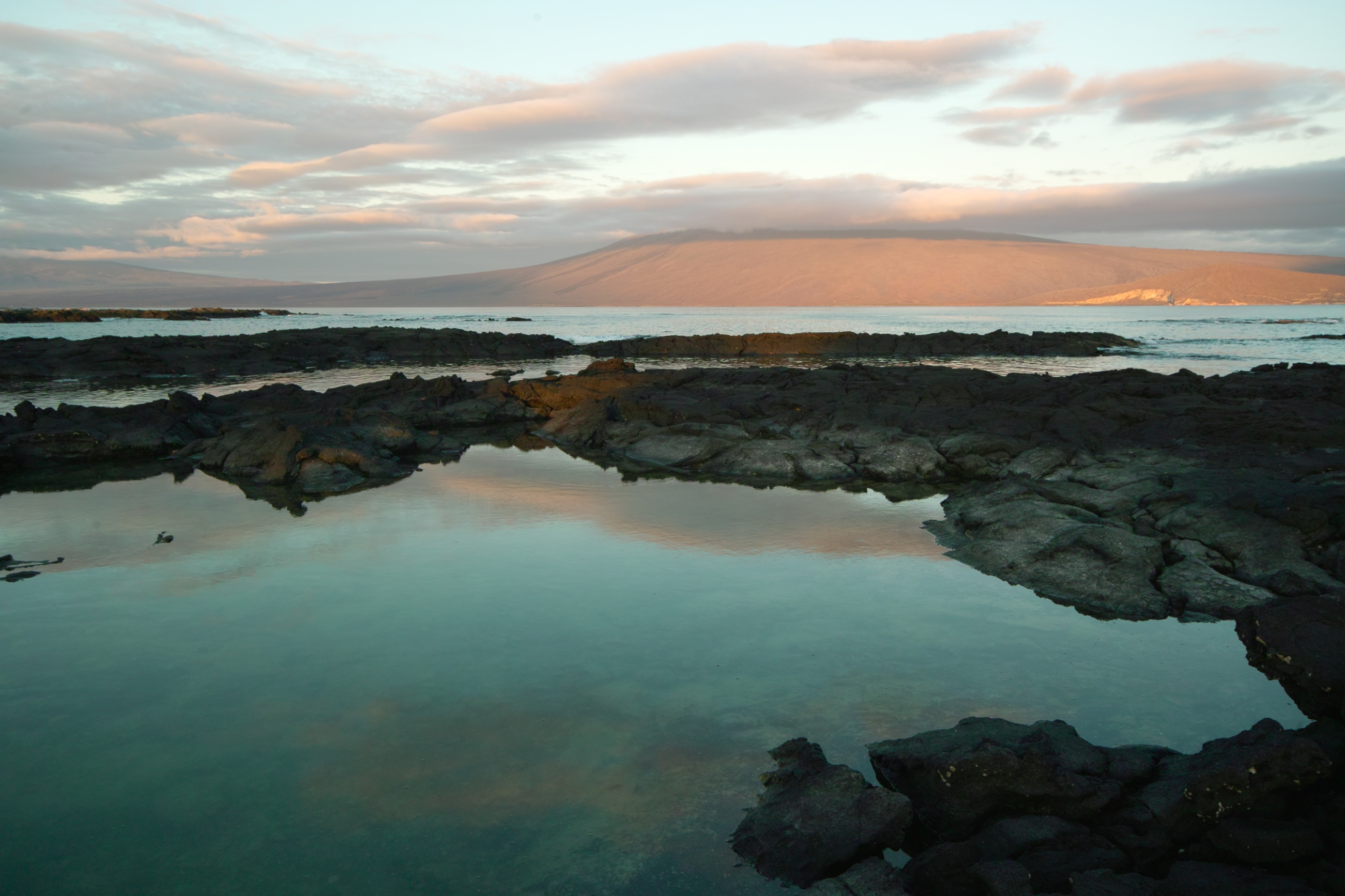 Galapagos-SDIM9461.jpg
