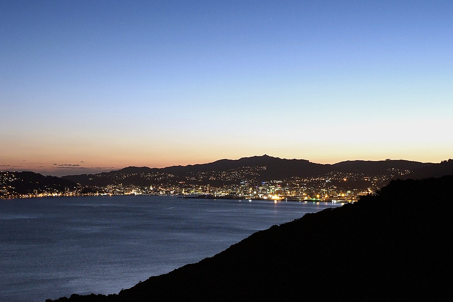 wellington from Newlands