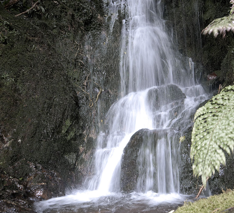Waterfall up the Akatarawa Valley