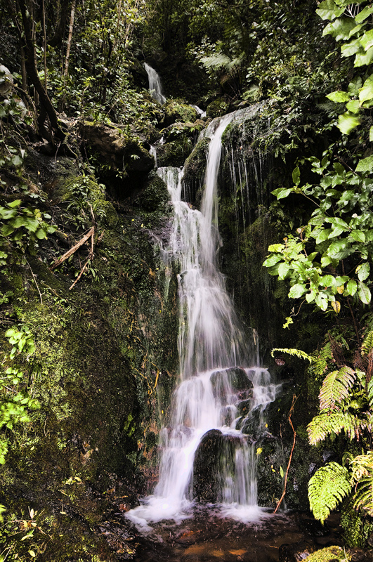 Small Waterfall up the Akatarawa Valley