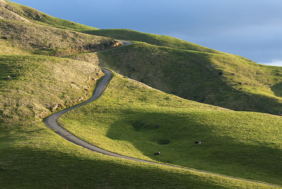 19 July 2011 - Ohariu Valley - Old Coach Road