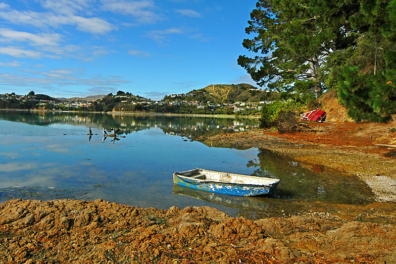 Pauatahanui inlet