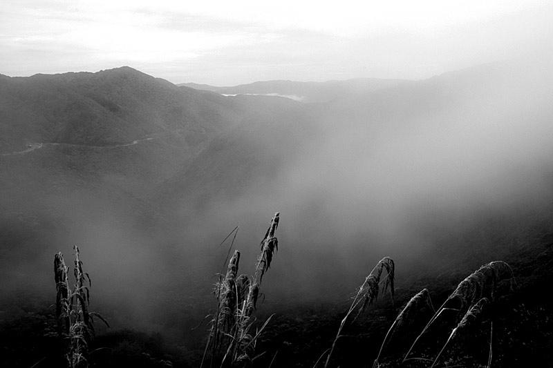 12 Jan 07 - Top of the Rimutaka Hill