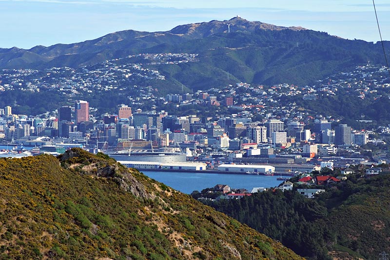 Wellington city from Newlands