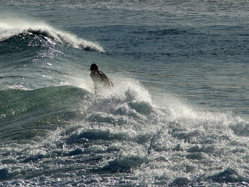16a May 07  -Surf at Lyall Bay