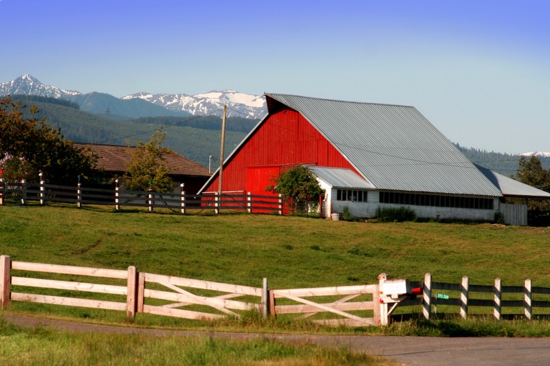 Barn on the Olympic Peninsula, Sequim, WA II