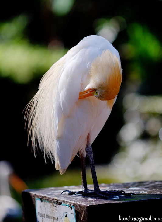 KL Bird Park