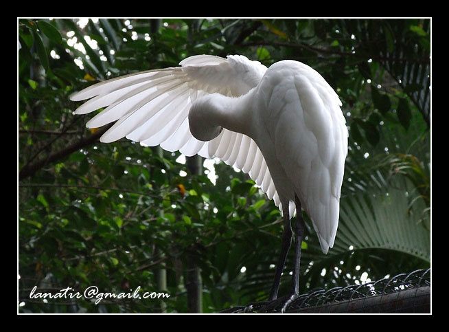Bird Park