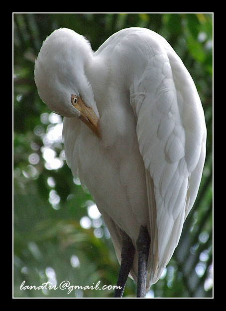 Bird Park