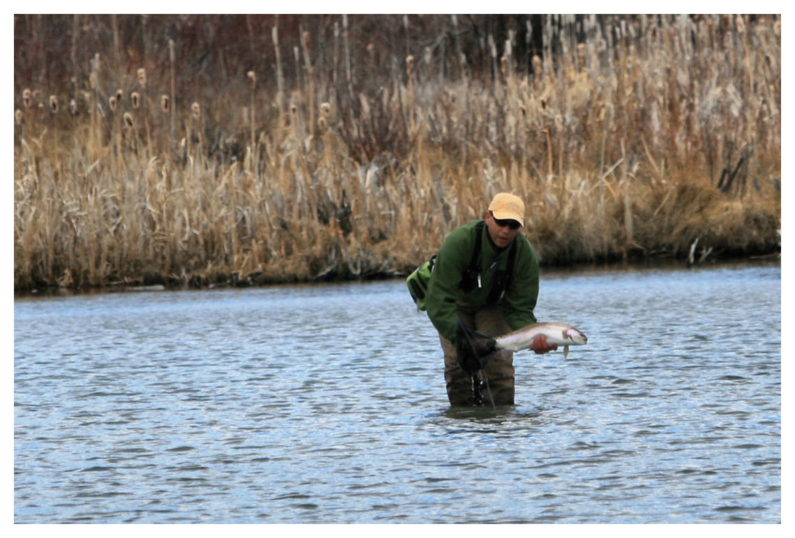 Wade With Trout