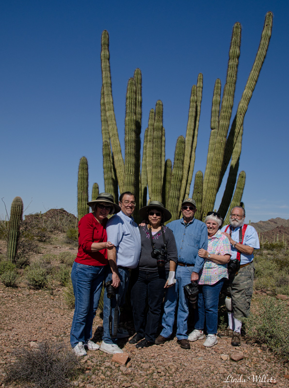 Organ Pipe National Monument