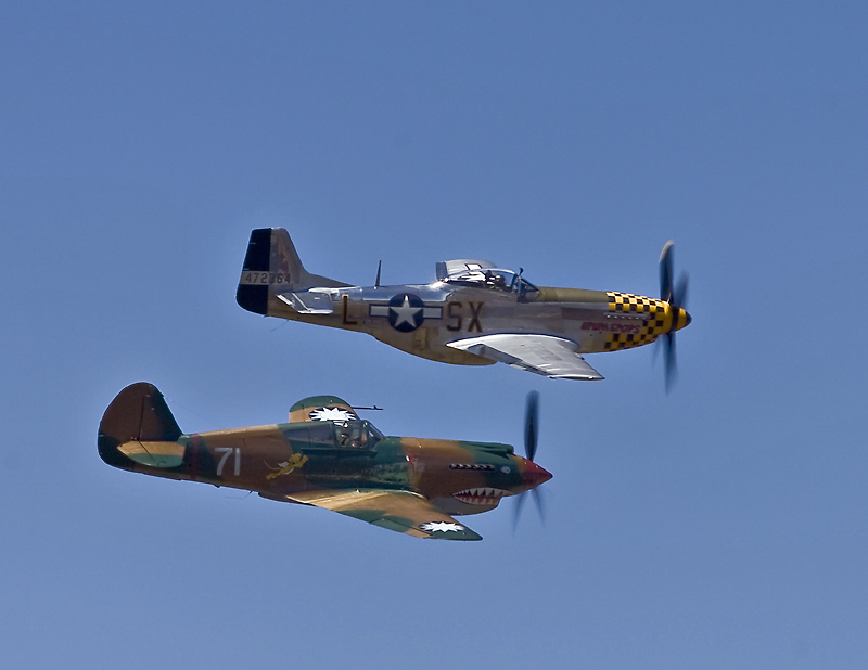 P-40C & P-51D