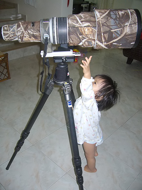 Canon EF600mm f4 L Non-IS