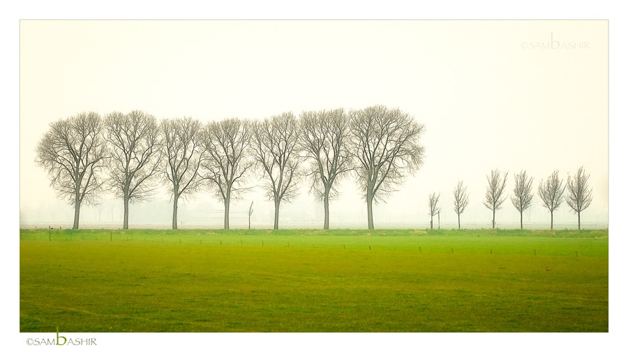 Near Marken NL