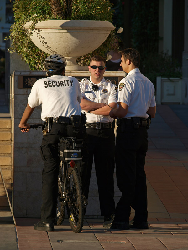 Mall Cops<br>by Dave Gaines