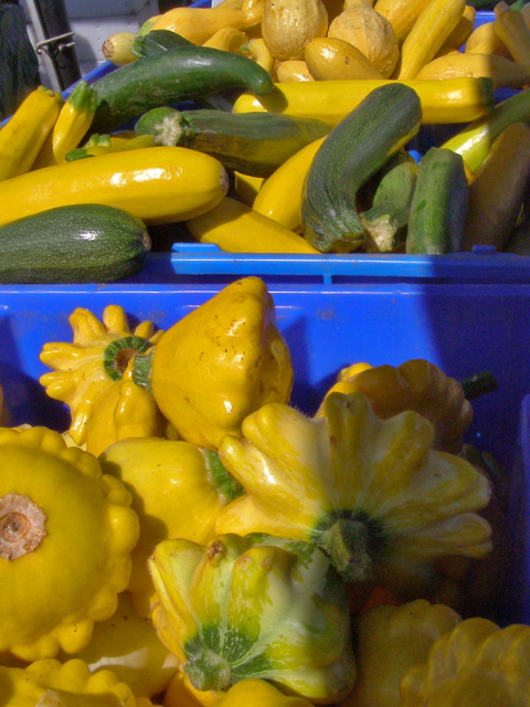 Farmers Market Summer Squash by Lois Ann