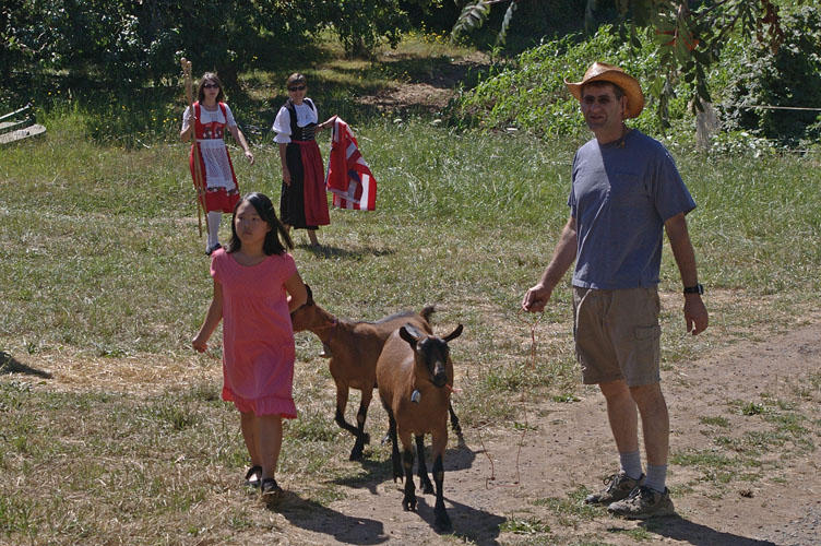 The goats are part of the parade too