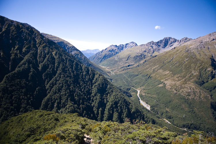 View from top of Bushline on  Avalanche Peak