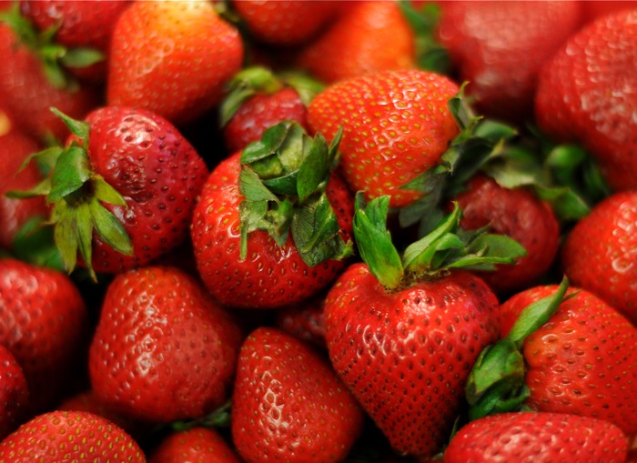 Fresh from the Farmers Market