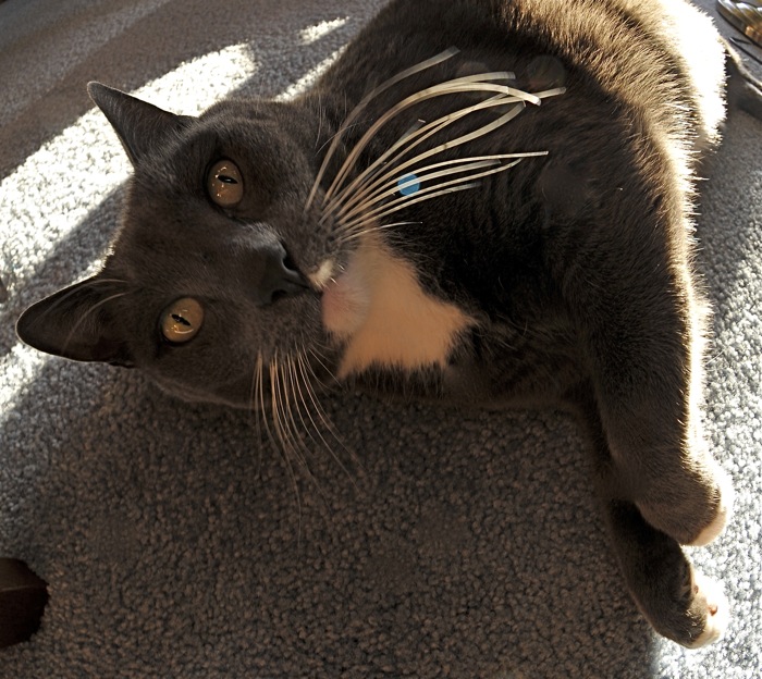 Diego relaxed, but still curious