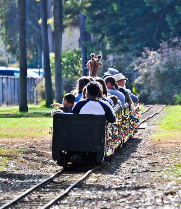 Christmas Train