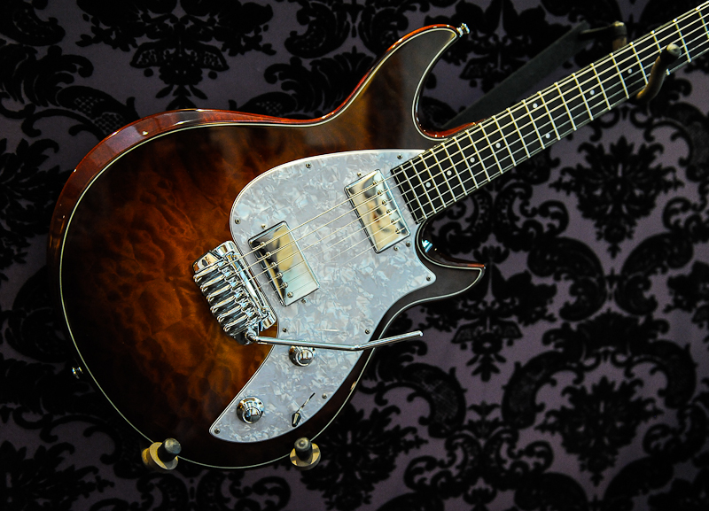 Taylor Guitar