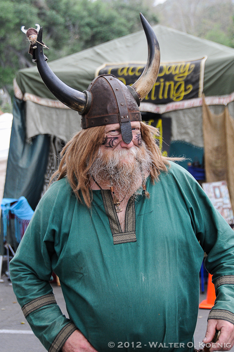 The Viking