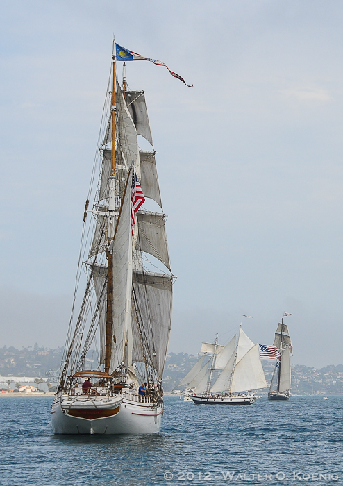 Three Tall Ships